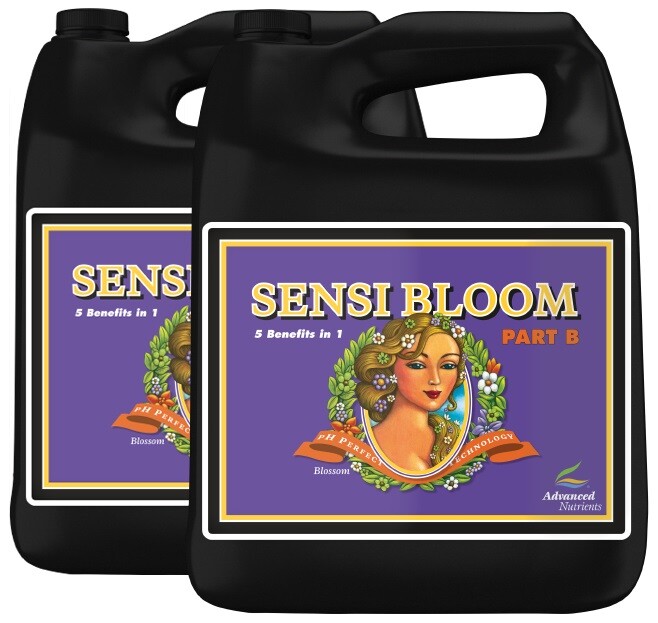 Sensi Bloom 5 L Part B pH Perfect (Advanced Nutrients)