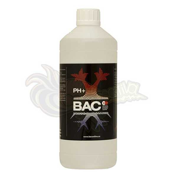 BAC PH Up 1 L