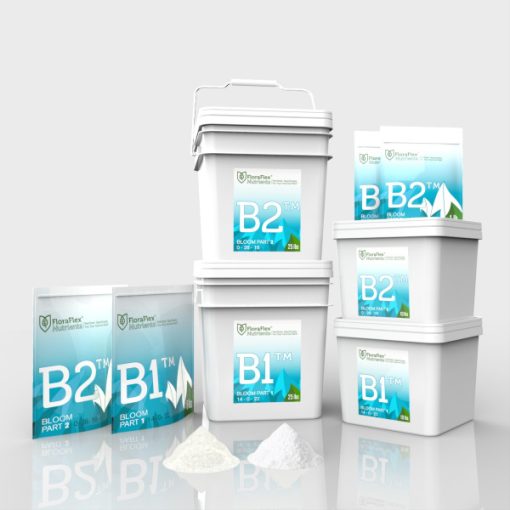 B1 453g (FloraFlex)