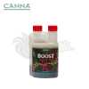 Boost Accelerator 250 ml (Canna)