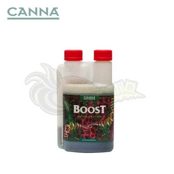 Boost Accelerator 250 ml (Canna)