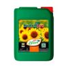 Ph - Bloom 5L (DutchPro)