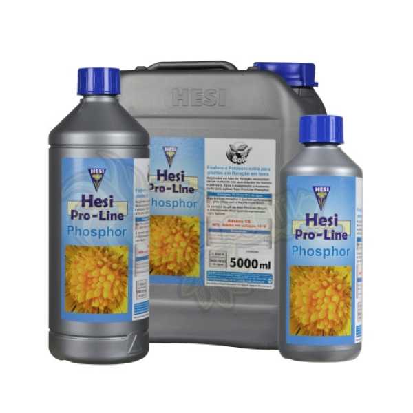 Phosphorus Plus 1 L