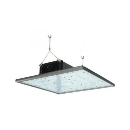 Pure LED Q240 ( Pure Factory )