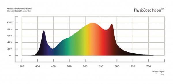 LED Fluence SPYDR 2p - Image 10