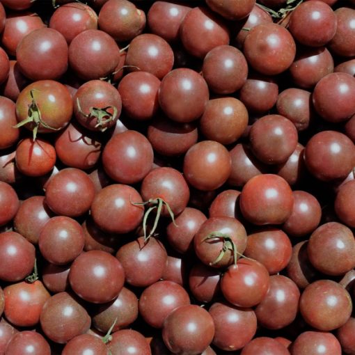 Tomate "Black Cherry" (Sementes Vivas)