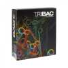 Pack TriBAC Base (BAC)