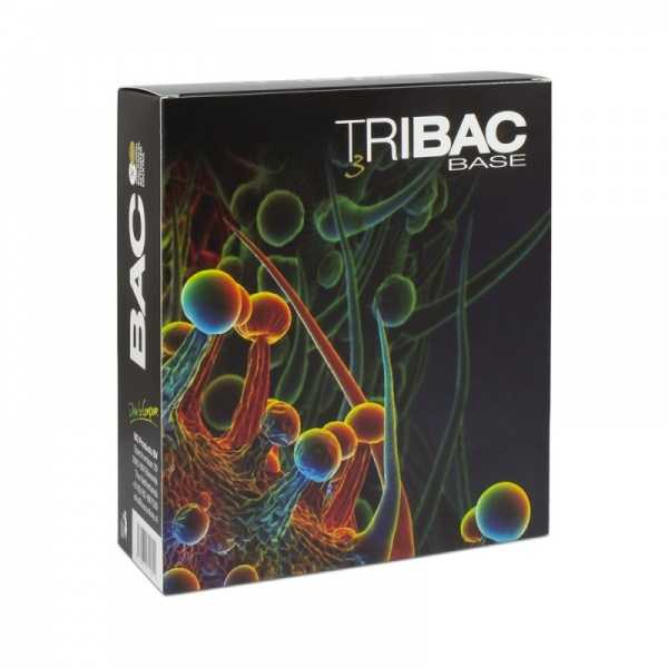 Pack TriBAC Base (BAC)