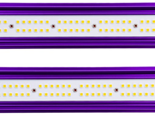 LED Zeus 600W Pro 2.9 (Lumatek) - Image 3