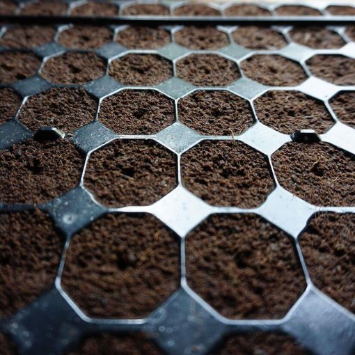 Bandeja Plug 104 Alvéolos (THC)
