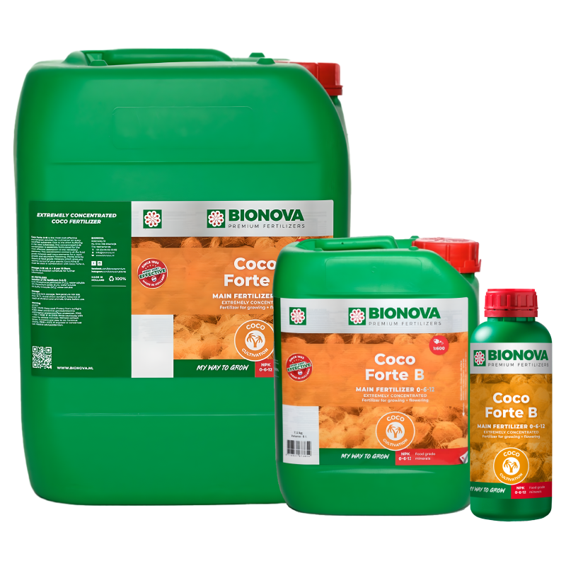 BIO NOVA Côco Forte B 5 L