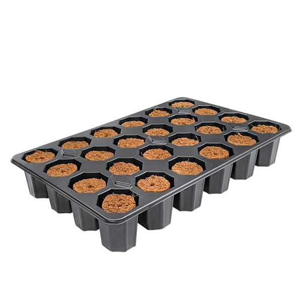 Bandeja Plug 24 Alvéolos (Plugin Pro)