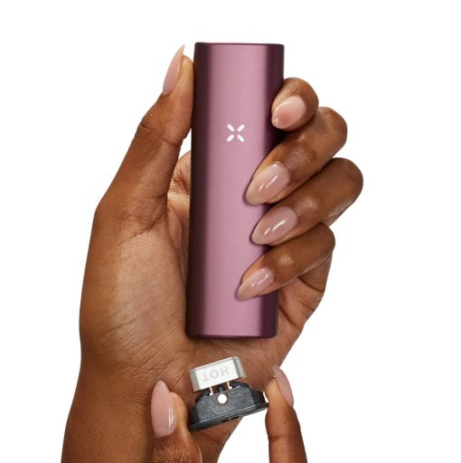 Vaporizador PAX PLUS Elderberry (PAX) - Image 3