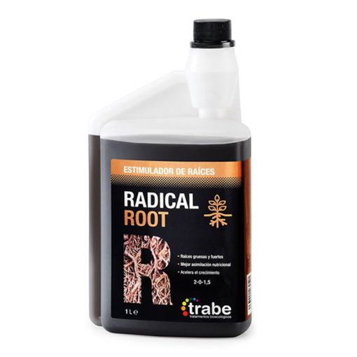 Radical Root 1L (Trabe)