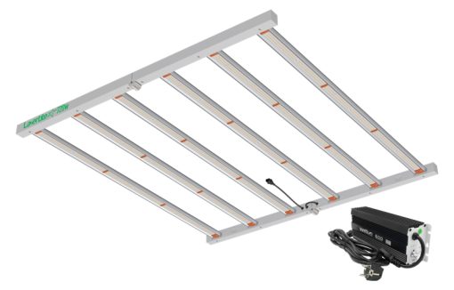 LED LazerLite 720W + Balastro Wattium 600W