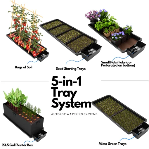 Sistema Tray2grow (Autopot) - Image 3