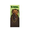 Filtros Wide Pets Rock "Rap" Green (G-ROLLZ)