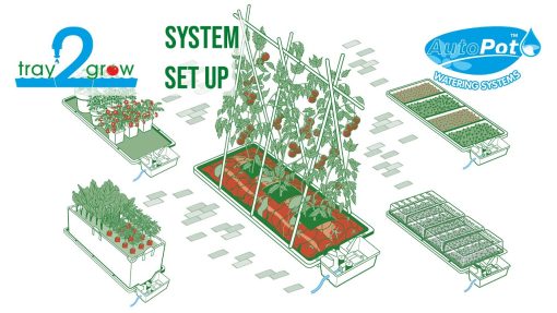 Sistema Tray2grow (Autopot) - Image 4