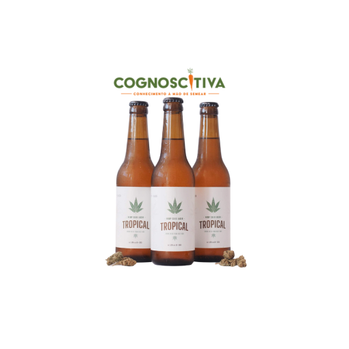 Cerveja de Cânhamo Artesanal 33cl (Tropical Bud)
