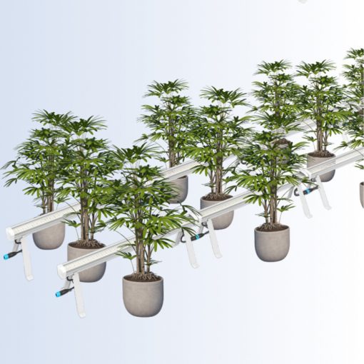 Under Canopy Led (Solux)