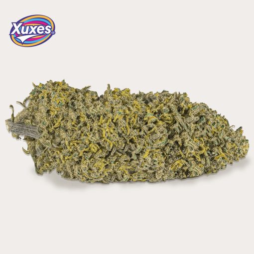 Cbd Xuxes Amnesia 3 g Flores - Image 2
