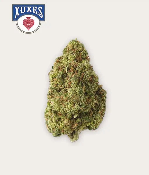 Cbd Xuxes Apple Jack 3 g Flores Premium - Image 2