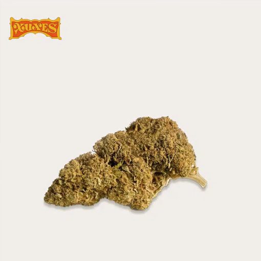 Cbd Xuxes Somango 3 g Flores - Image 2