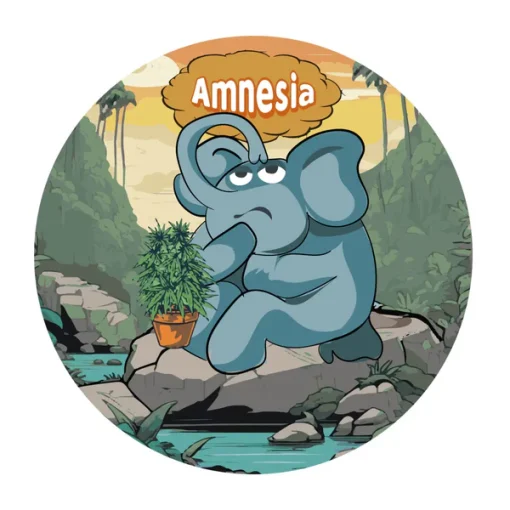Amnesia Flores CBD Indoor 3g