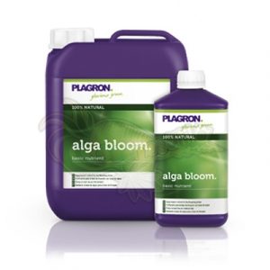 alga_bloom_family-1.jpg