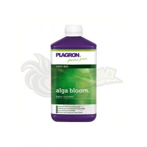 alga_bloom_small-3.jpg