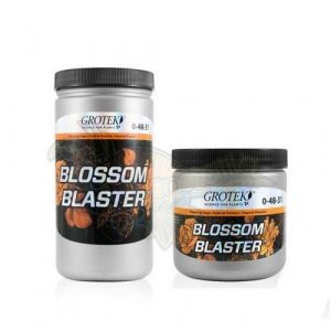 blossom_blaster-1.jpg