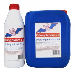 kalong-bloom-c68-1.jpg