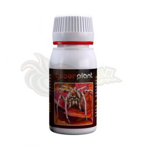 spider_plant_60ml.jpg